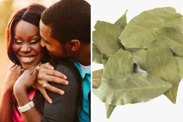 Rituel d'amour avec feuille de laurier, grand expert marabout